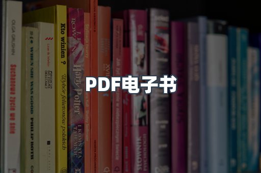 PDF电子书